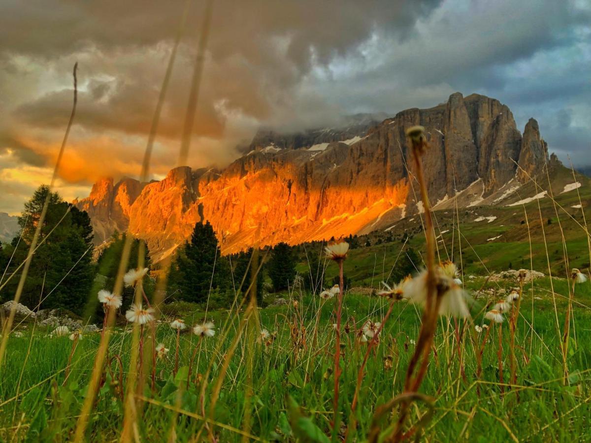 סלבה די ואל גרדנה Passo Sella Dolomiti Mountain Resort מראה חיצוני תמונה