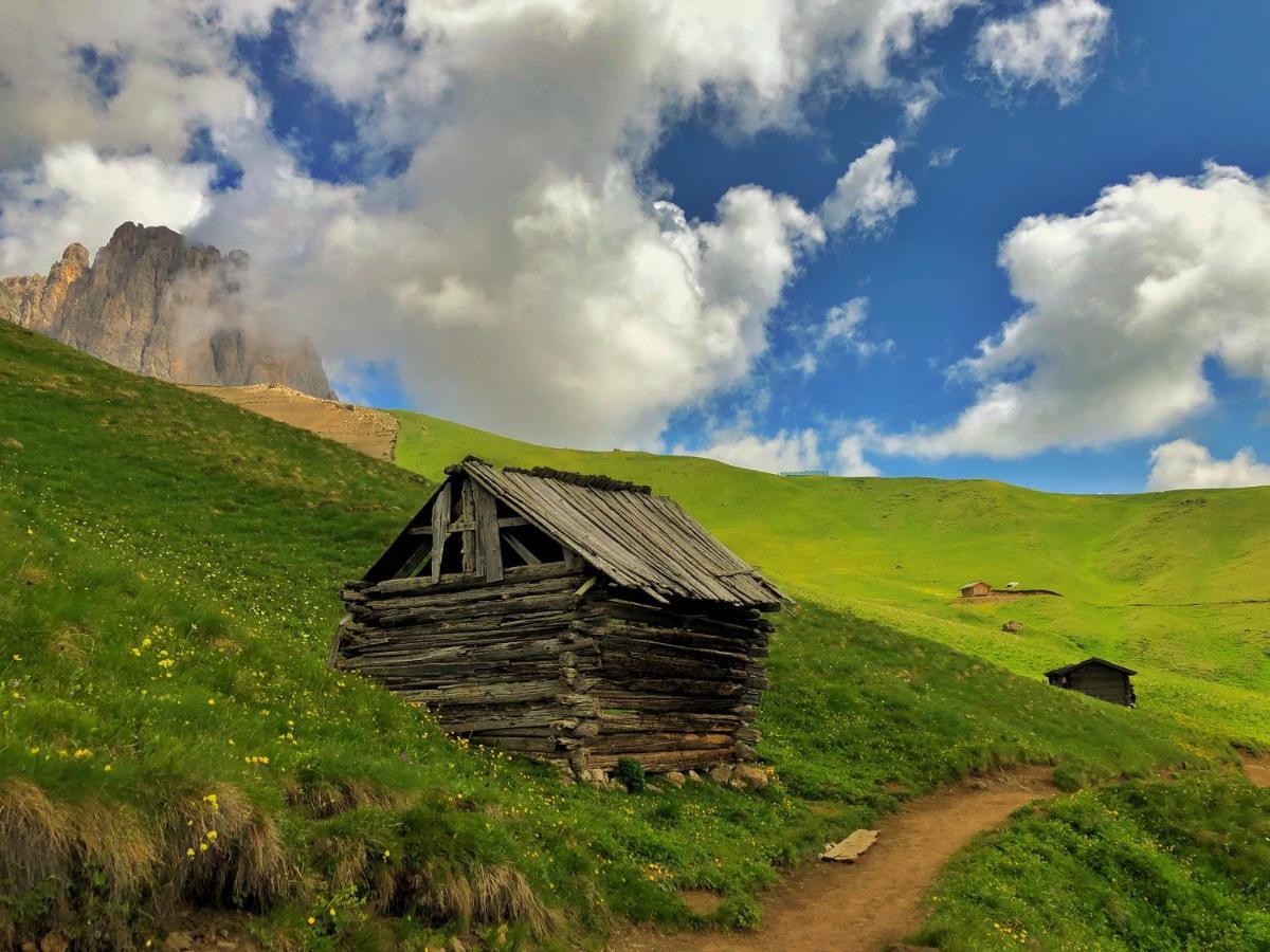 סלבה די ואל גרדנה Passo Sella Dolomiti Mountain Resort מראה חיצוני תמונה